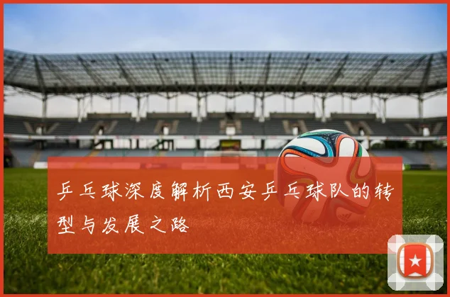 乒乓球深度解析西安乒乓球队的转型与发展之路