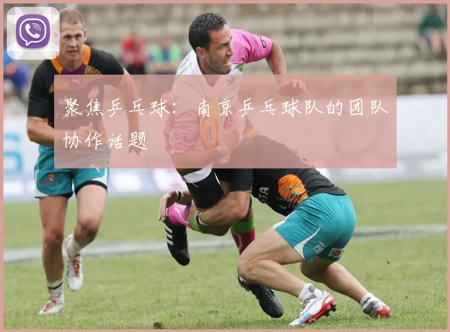 聚焦乒乓球：南京乒乓球队的团队协作话题