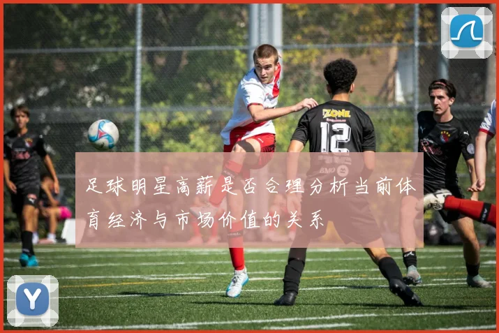足球明星高薪是否合理分析当前体育经济与市场价值的关系