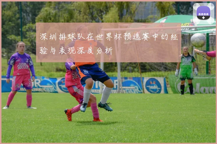 深圳排球队在世界杯预选赛中的经验与表现深度分析