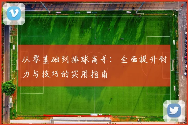 从零基础到排球高手：全面提升耐力与技巧的实用指南