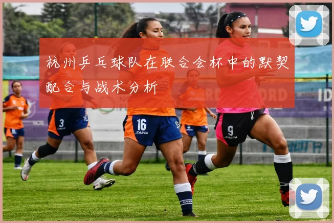 杭州乒乓球队在联合会杯中的默契配合与战术分析