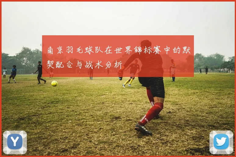 南京羽毛球队在世界锦标赛中的默契配合与战术分析