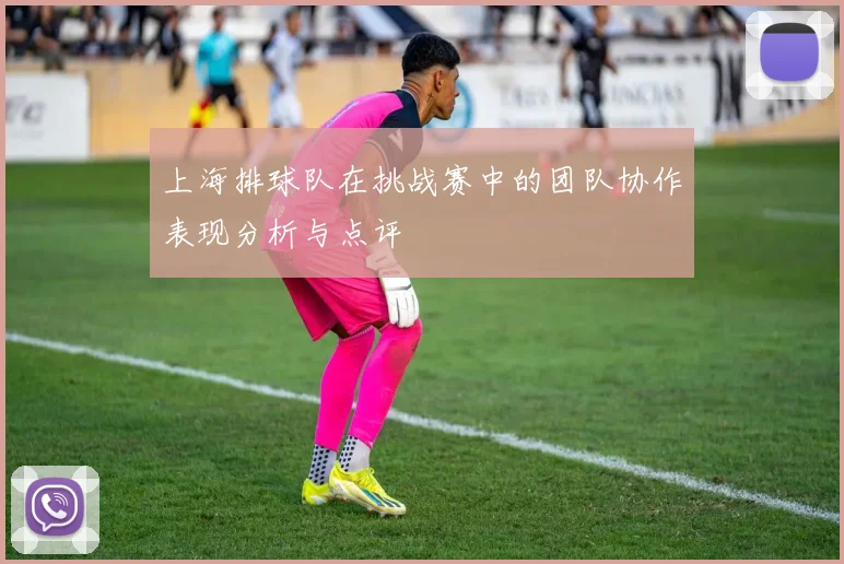 上海排球队在挑战赛中的团队协作表现分析与点评