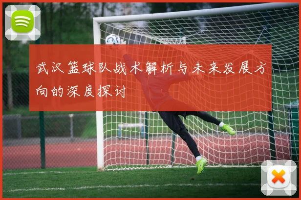 武汉篮球队战术解析与未来发展方向的深度探讨