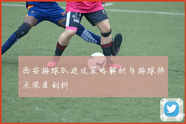 西安排球队进攻策略解析与排球热点深度剖析
